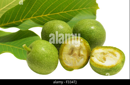 Grüner junge Walnüsse in Schalen und Blätter Stockfoto