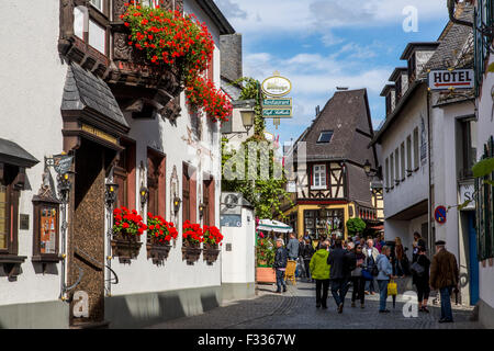 Rüdesheim, beliebtes Touristenziel im mittleren Oberrheingraben, Weindorf, berühmte Altstadt, Deutschland Stockfoto