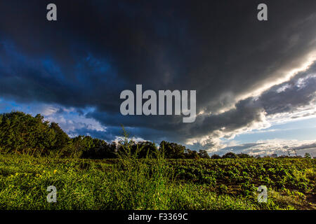 Dicke, dunkle Gewitterwolken am Abendhimmel, Stockfoto