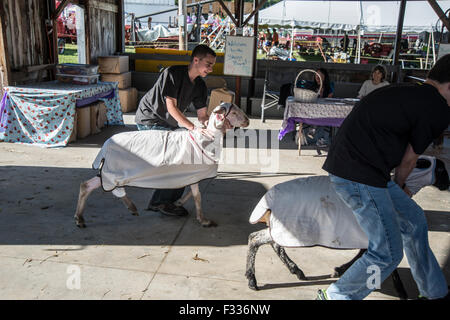 Cummington Messe öffnet jedes Jahr im August im Hampshire County, Massachusetts Stockfoto