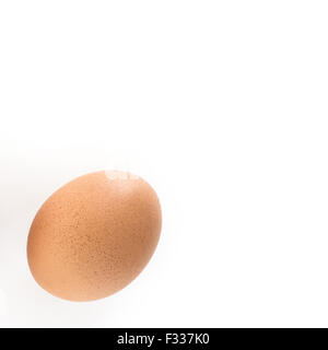 Großes Ei von oben fotografiert und isoliert auf weißem Hintergrund. Stockfoto