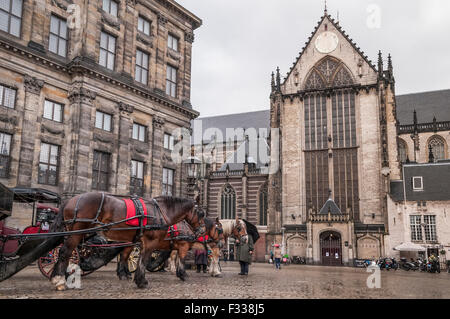 Pferde warten auf Touristen in regnerischen Dam Square Amsterdam Holland. Niederlande. Nieuwe Kerk Stockfoto