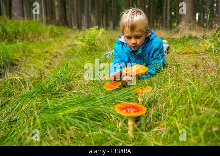 Kind blond Boy untersuchen einen Fliegenpilz im Park, Holz, Wald Herbst, Amanita, giftige Pilze Stockfoto