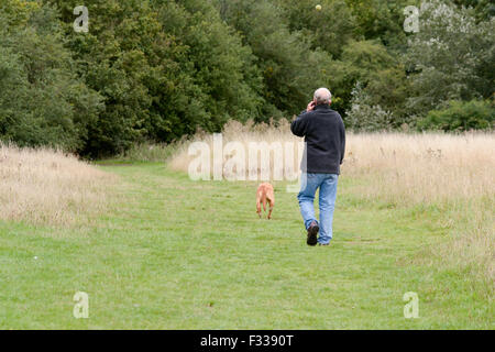 Mann, telefonieren mit Handy während Ballweitwurf mit Chuck-It Spielzeug für Hund in Landschaft in Bedford, Bedfordshire, England Stockfoto