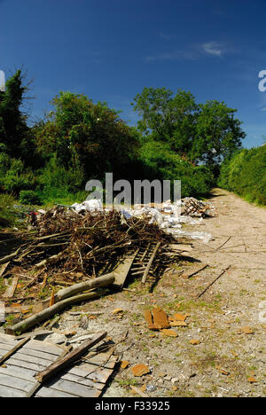 Fliege-Kipp auf einem öffentlichen Weg. Stockfoto