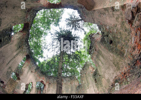 Ruinen der die barocke Wallfahrtskapelle St. Mary Magdalene Stockfoto