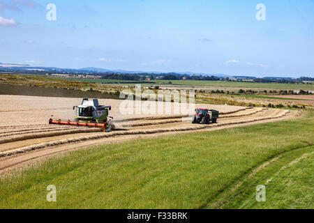 Mähdrescher und Traktor Ernte ein Weizenfeld in der Nähe von Low Newton am Meer, Northumberland Stockfoto