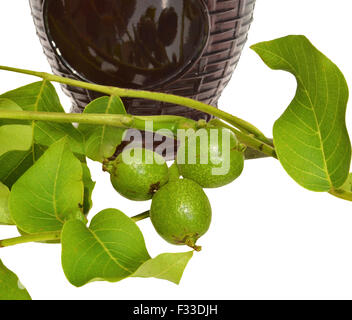 Grüner junge Walnüsse Likör Flaschenpost Stockfoto