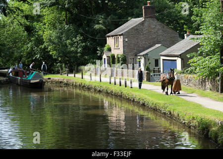 Pferd Schlepp Boot schmale Kohle England englische Europa Stockfoto