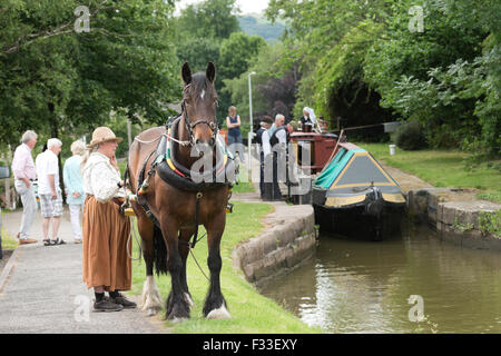 Pferd Schlepp Boot schmale Kohle England englische Europa Stockfoto