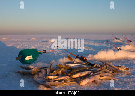 Angeln an der Ostsee Stockfoto