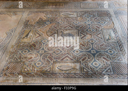 Frühe christliche Mosaik zeigt eine Perlhühner in der Mitte der Text liest die Mosaiken im Eustolios Komplex in Kourion, Zypern Stockfoto