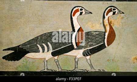 Detail (Red-breasted Gänse) aus der "Salonkomponist Gänse," vom Grab des Nefermaat und Atet, altes Reich, c.2620 BC (lackiert s Stockfoto