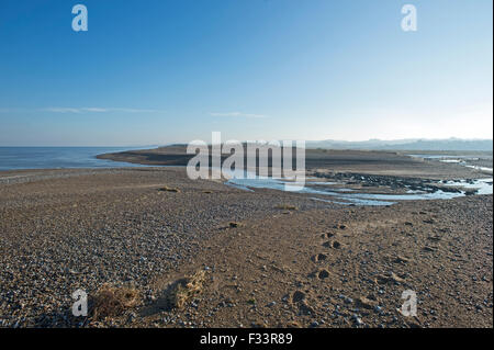 Effekte, Sümpfe und Kies Strand Dezember 5. 2013 Nordsee Überspannungsschutz bei Cley Sümpfe Norfolk Stockfoto