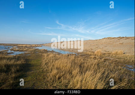 Effekte, Sümpfe und Kies Strand Dezember 5. 2013 Nordsee Überspannungsschutz bei Cley Sümpfe Norfolk Stockfoto