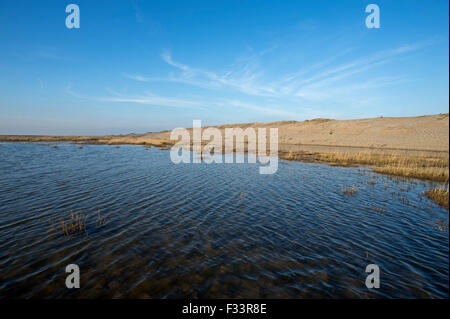 Effekte, Sümpfe und Kies Strand Dezember 5. 2013 Nordsee Überspannungsschutz bei Cley Sümpfe Norfolk Stockfoto