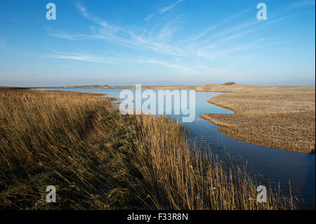 Effekte, Sümpfe und Kies Strand Dezember 5. 2013 Nordsee Überspannungsschutz bei Cley Sümpfe Norfolk Stockfoto