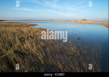 Effekte, Sümpfe und Kies Strand Dezember 5. 2013 Nordsee Überspannungsschutz bei Cley Sümpfe Norfolk Stockfoto