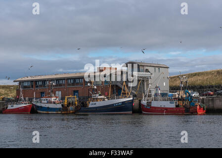Der Hafen von Eyemouth Berwickshire in Schottland Stockfoto