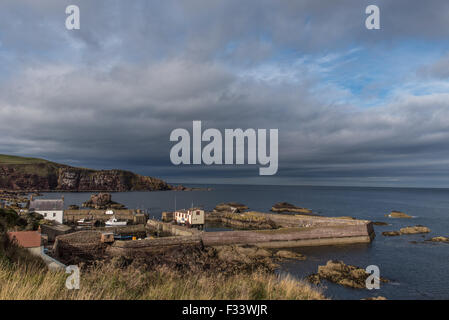 Der Hafen von St.Abbs Berwickshire Schottland Stockfoto