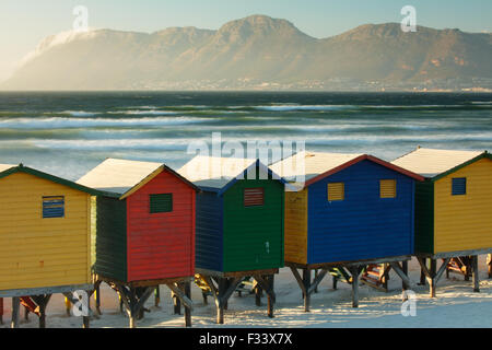 Strandhütten in Muizenberg, western Cape, Südafrika Stockfoto