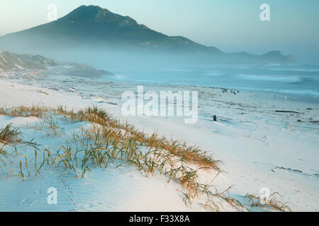 Kormorane und Möwen am Platboom Strand und das Kap der guten Hoffnung, Cape Point, Südafrika Stockfoto