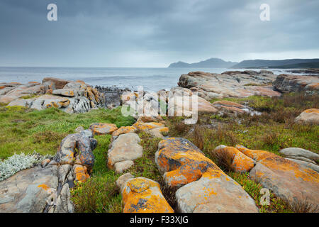 das Kap der guten Hoffnung am schwarzen Felsen, Cape Point, Südafrika Stockfoto