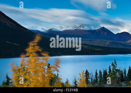 Herbstfärbung bei Nares Lake mit Montana Berg darüber hinaus, in der Nähe von Carcross, Yukon Territorien, Kanada Stockfoto