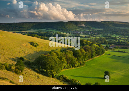 Hambledon Hill, einer prähistorischen Wallburg in der Nähe von Blandford Forum Stockfoto