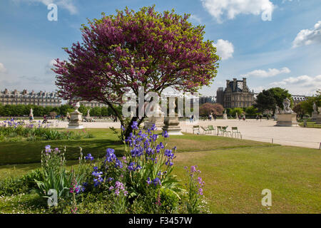 Jardin des Tuileries, Paris, Frankreich Stockfoto