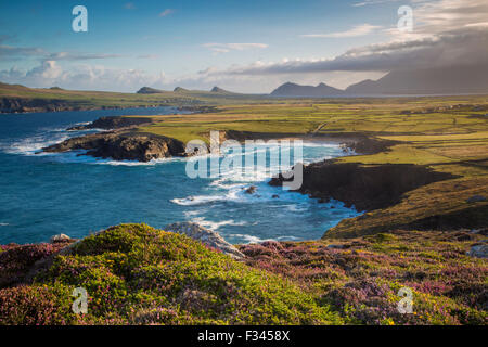 Dawn Blick über Ballyferriter Bay, Sybil Point und den Gipfeln der drei Schwestern, Halbinsel Dingle, County Kerry, Irland. Stockfoto