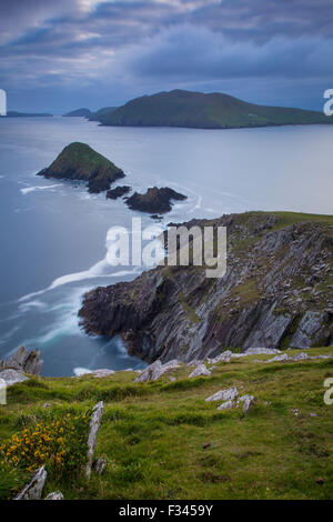 Dämmerung über Dunmore Head mit Blasket Inseln hinaus Halbinsel Dingle, County Kerry, Irland Stockfoto