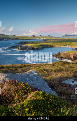Abend von Sonnenlicht über Ballyferriter Bay, Sybil Point und den Gipfeln der drei Schwestern, Halbinsel Dingle, County Kerry, Irland Stockfoto
