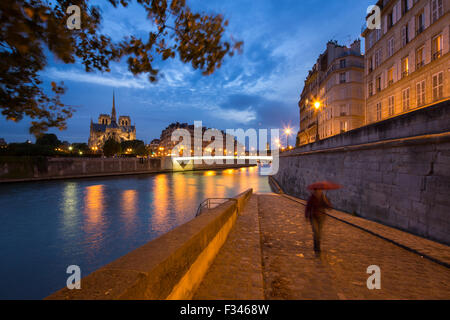 Kathedrale Notre-Dame und der Île De La Cité von Ile St Louis in der Nacht, Paris, Frankreich Stockfoto