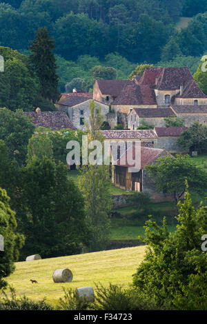 ein Fuchs in einem Feld in der Nähe von Molières, Pays de Bergerac, Périgord, Dordogne, Aquitaine, Frankreich Stockfoto