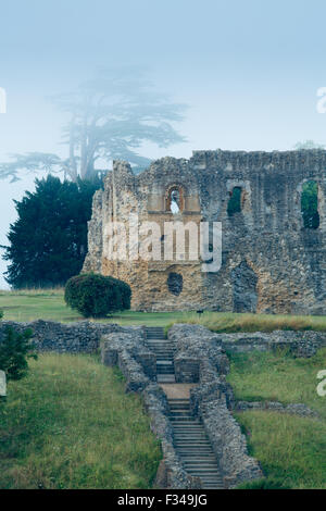 Old Sherborne Castle im Nebel bei Sonnenaufgang, Dorset, England Stockfoto