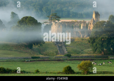 Alten Sherborne Castle, Sherborne, Dorset, England, Vereinigtes Königreich Stockfoto