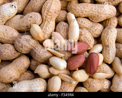 Landwirtschaftlichen Hintergrund gelöscht ein Haufen schöne Erdnuss Stockfoto