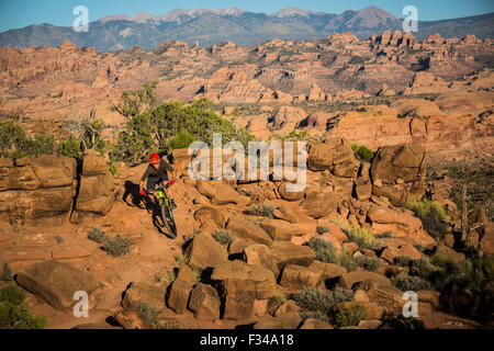 Mann-Mountainbiken auf einem Pfad in einer Wüstenumgebung. Stockfoto