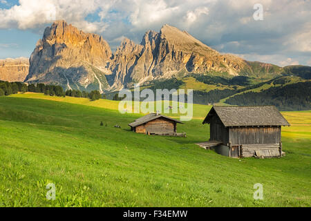 Langkofel Gruppe auf der Seiser Alm, Südtirol, Italien Stockfoto