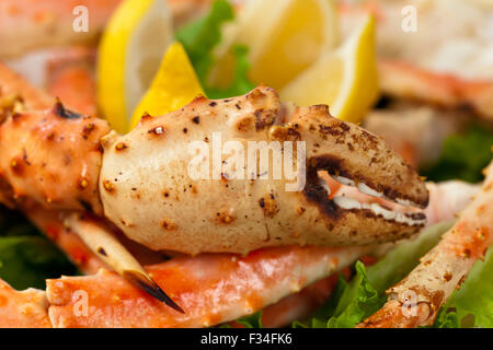 Snow Crab Legs Stockfoto