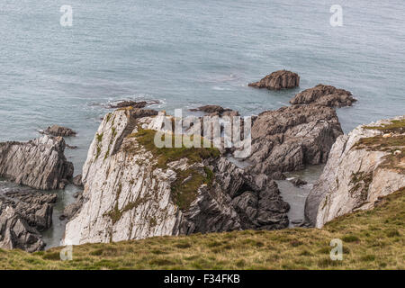 Starke Küstenerosion, Bull Point, North Devon, Südwestengland, England, UK Stockfoto