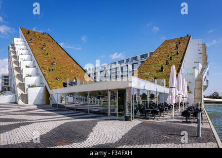 8 House, auch bekannt als 8 Tallet oder Big House, Kopenhagen, Dänemark Stockfoto