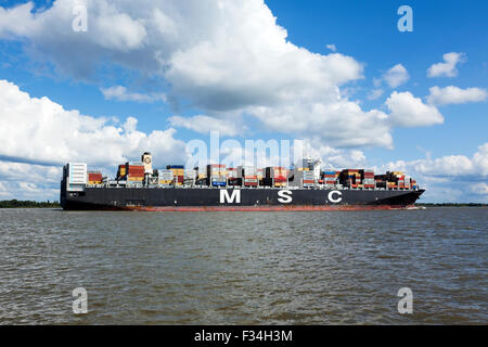 Containerschiff MSC Lauren auf die Elbe Fluss in Richtung Hamburger Hafen Stockfoto