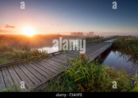 nebligen Sonnenaufgang über dem hölzernen Radweg am See, Deutschland Stockfoto