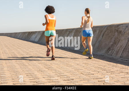 Rückansicht der beiden jungen Frauen zusammen Joggen Stockfoto