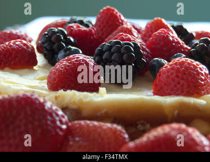 Käsekuchen mit Erdbeeren, Brombeeren und Himbeeren Stockfoto