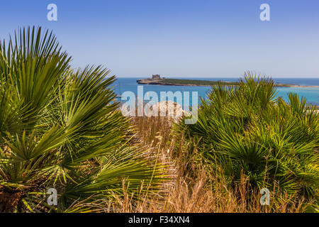 Mediterrane Vegetation, Portopalo di Capo Passero, Sizilien Stockfoto