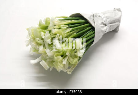 seltsame Blüten, Blätter auf dem Kopf stehend Schnittlauch Stockfoto