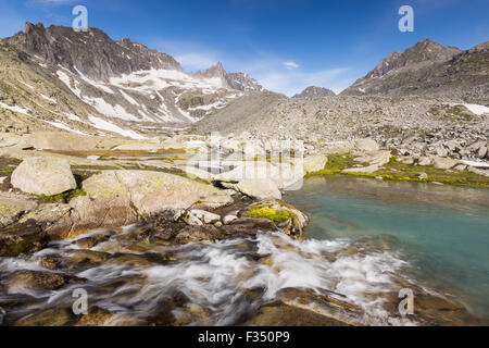 Alpine Wildbach im hohen Amolatal. Presanella Berggruppe. Parco Naturale Adamello Brenta. Trentino. Italienische Alpen. Europa. Stockfoto